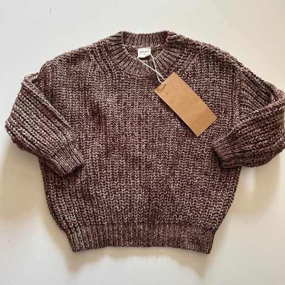 NWT Goumi Kids Bark Toddler Chunky Knit Sweater SZ 2-3T Oversized Organic Cotton - Picture 1 of 3